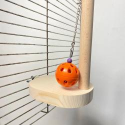 Petshop Ürünü